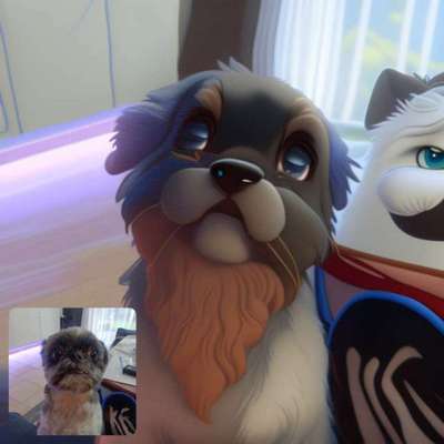 Voila app Bilder-Beitrag-Bild