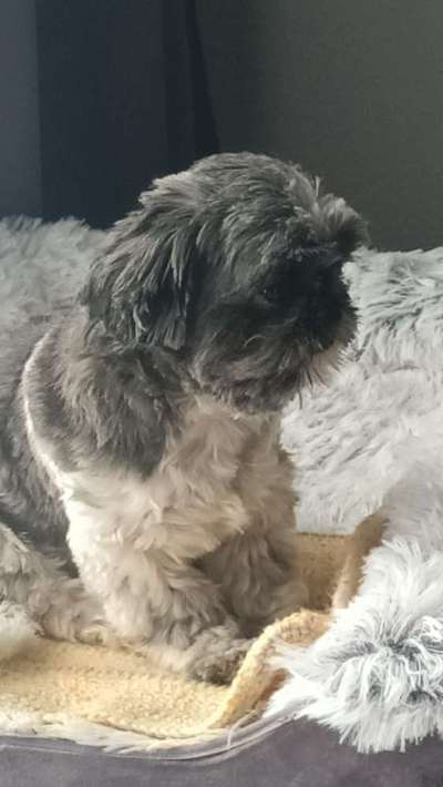 23. Collagen-Challenge: Portraits-Beitrag-Bild