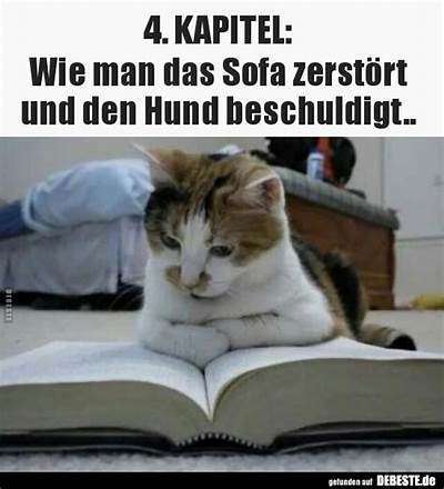 Hunde Memes-Beitrag-Bild