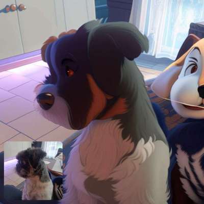 Voila app Bilder-Beitrag-Bild