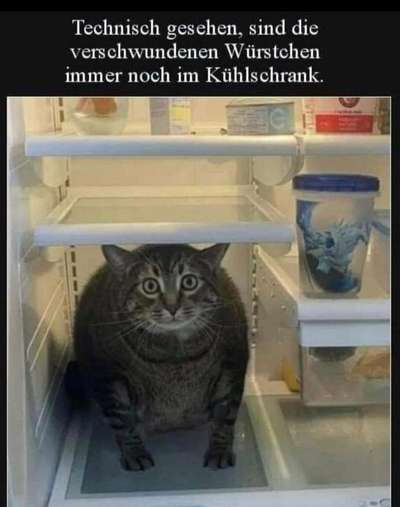 Hunde Memes-Beitrag-Bild