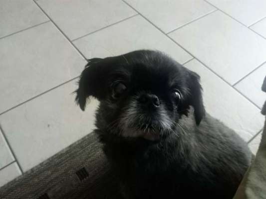 23. Handy Foto-Challenge-Beitrag-Bild