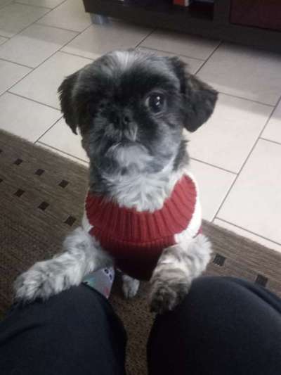 11. Farben Foto Challenge Rot-Beitrag-Bild