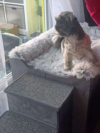 120. Fotochallenge-Beitrag-Bild