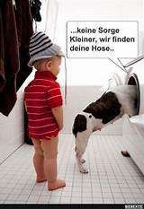 Hunde Memes-Beitrag-Bild