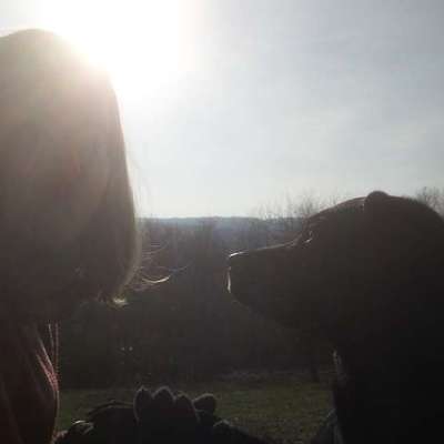 Hundetreffen-Bis zu 3h Gassirunde-Bild