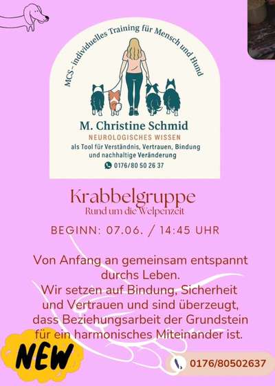 Hundetreffen-Krabbelgruppe-Bild
