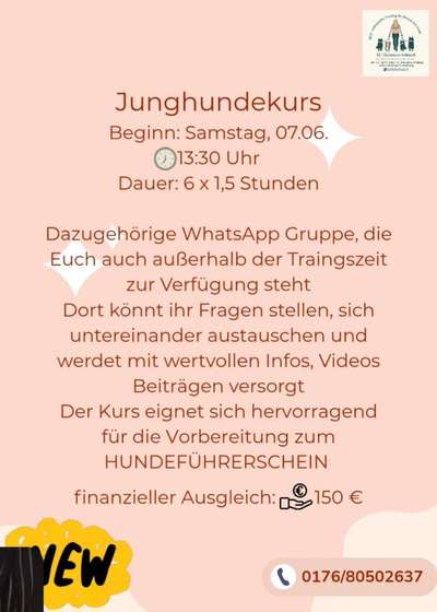 Hundetreffen-Alltagssituationen-Bild