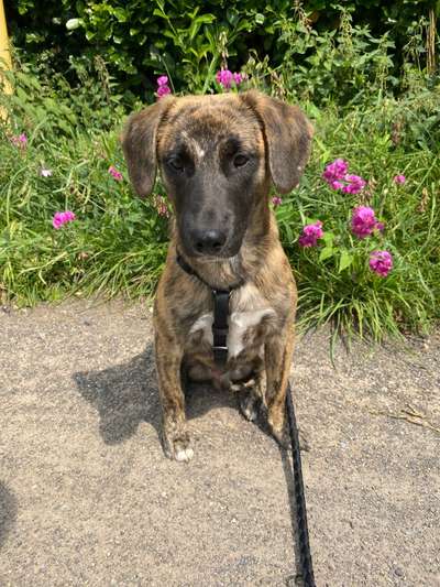 Hilfe bei der Erziehung meines kleinen Neulings!-Beitrag-Bild