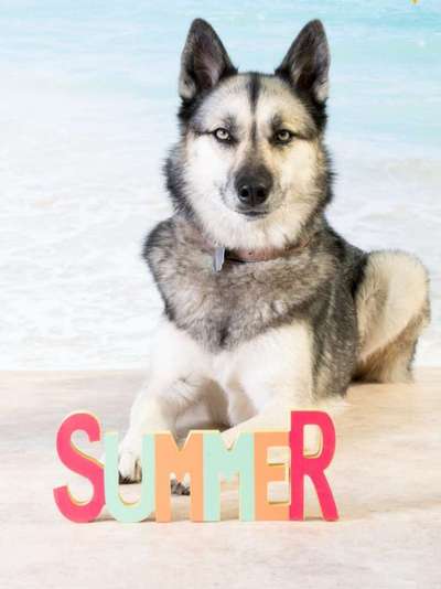 Fotochallange Nr. 57     PORTRÄT.   Beendet!!!!!!!!-Beitrag-Bild