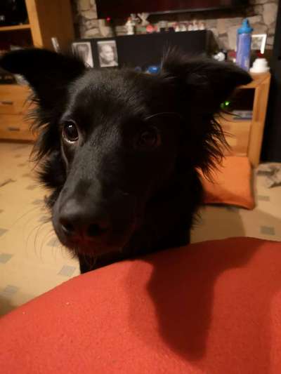 Fotochallange Nr. 57     PORTRÄT.   Beendet!!!!!!!!-Beitrag-Bild