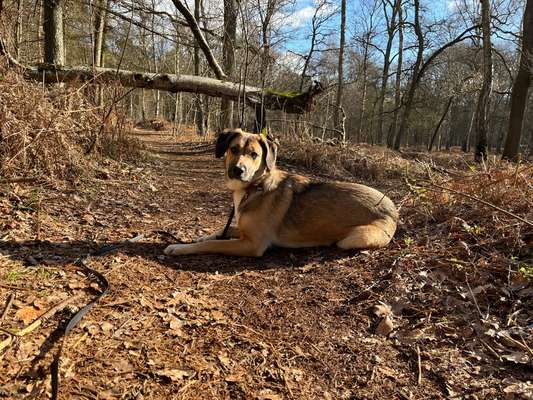 Ton in Ton-Beitrag-Bild