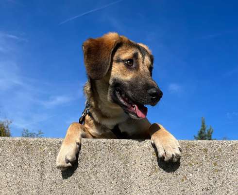 118. Fotochallange-Beitrag-Bild