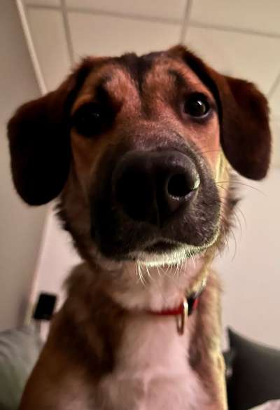 23. Handy Foto-Challenge-Beitrag-Bild