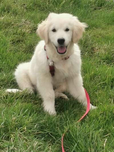 Erstes Bild-Beitrag-Bild