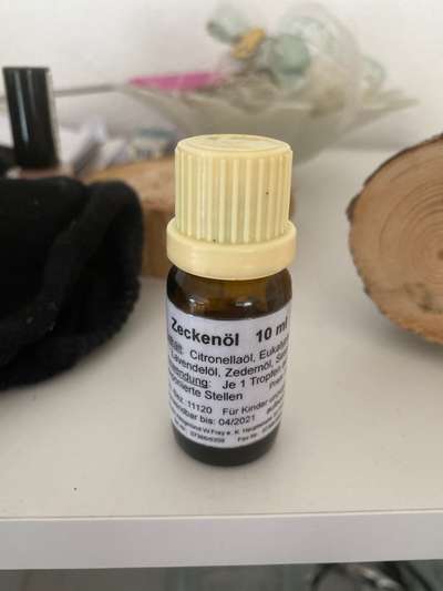 Zeckenstich - Tierarzt nötig?-Beitrag-Bild