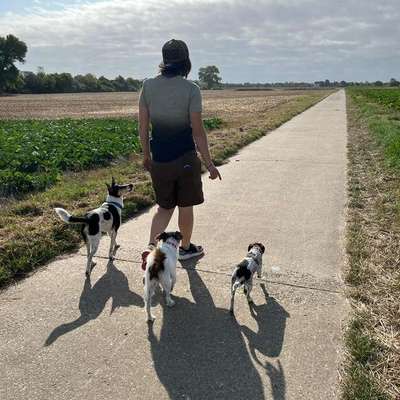 Hundetreffen-Gemeinsam Radfahren mit Hunden