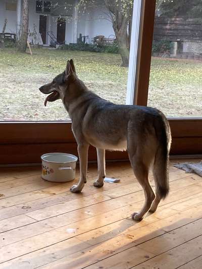 120. Fotochallenge-Beitrag-Bild