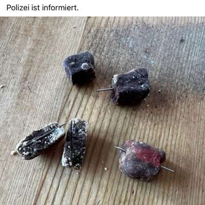 Giftköder-Giftköder Fund-Bild