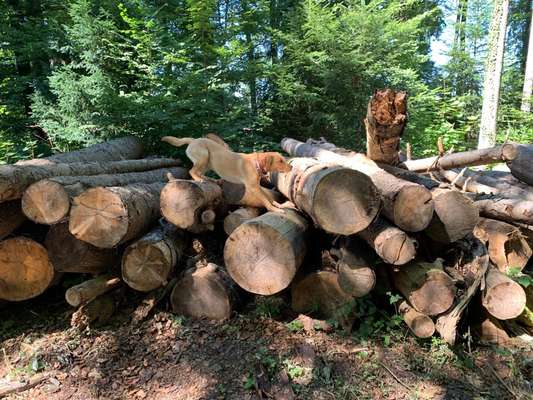 Theos Fotochallenge Nr. 3-Beitrag-Bild