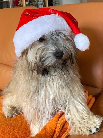 It's beginning to look a lot like.....-Beitrag-Bild