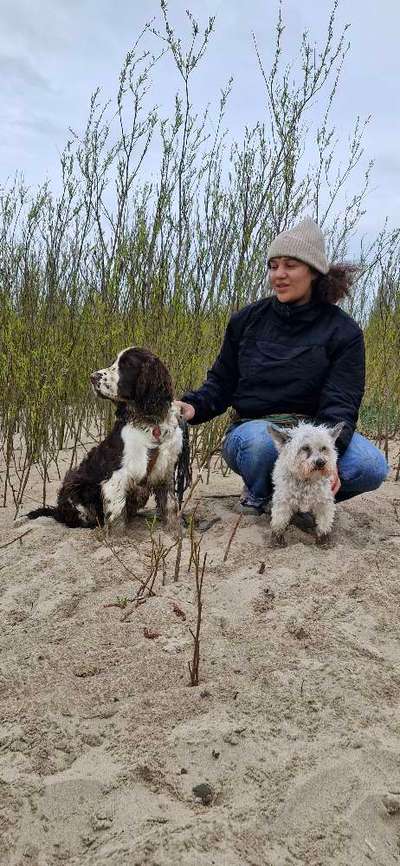 Hundetreffen-Socialwalk Planten und Bloomen-Bild