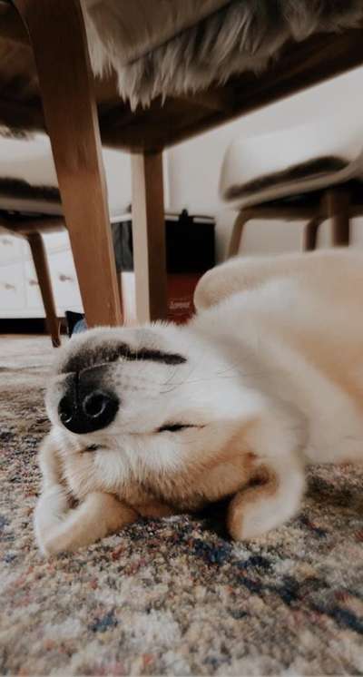 Die unbequemsten und lustigsten Schlafpositionen-Beitrag-Bild