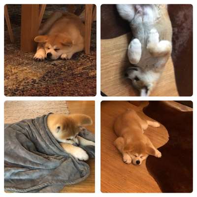 Die unbequemsten und lustigsten Schlafpositionen-Beitrag-Bild