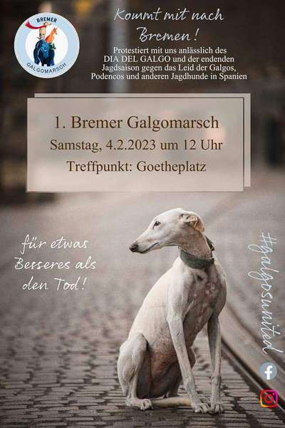 Hundetreffen-Galgomarsch Bremen-Bild