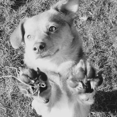 Foto-Challenge 76: Foto in Schwarz-Weiss-Beitrag-Bild