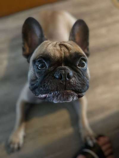 Handy-Foto Challange Nr. 10-Beitrag-Bild