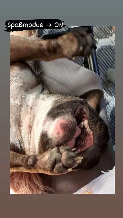 Handy-foto Challange nr. 11-Beitrag-Bild