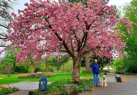 Gibts hier Mioritic Besitzer?-Beitrag-Bild