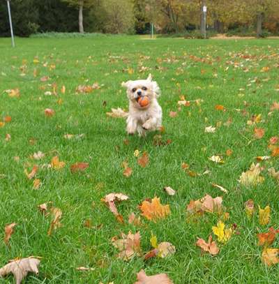 Fotochallenge Nr. 52 „Spring!“-Beitrag-Bild