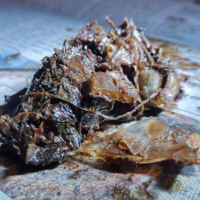 Giftköder-Potentieller Köder, Glasscherben-Bild