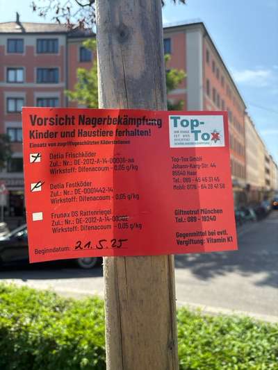 Giftköder-Nagerbekämpfung-Bild