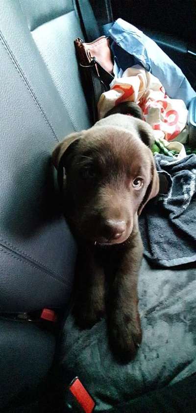 Geschwister-Beitrag-Bild