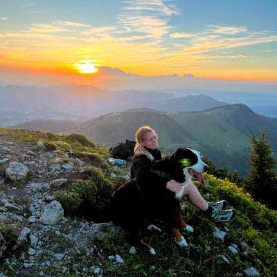 Hundetreffen-Gassi/Spiel- Buddy gesucht 🐾-Bild