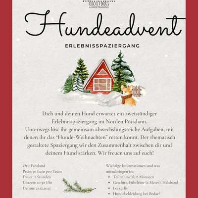 %{de_profession_title}-✨ HUNDEADVENT – Erlebnis­spaziergang ✨-Bild
