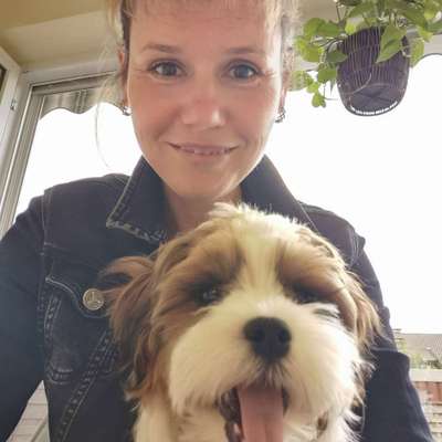 Hundetreffen-Hundespielrunde-Profilbild