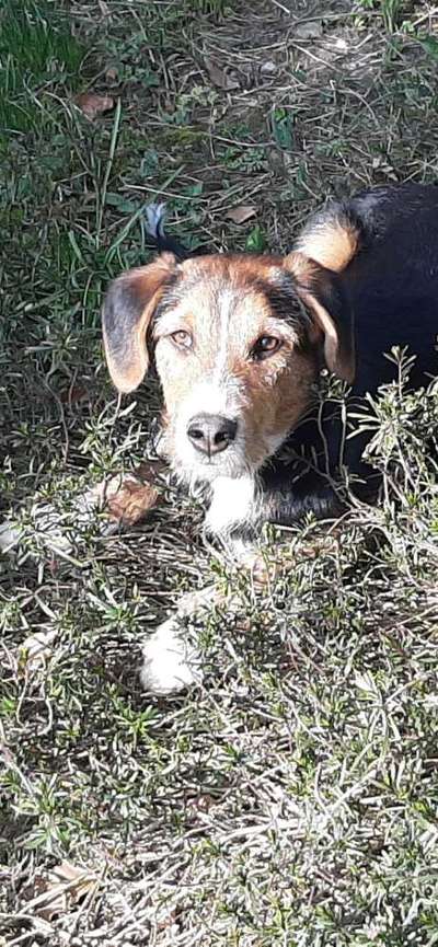 Fotochallenge No. 26                                     Wald und Wiese-Beitrag-Bild