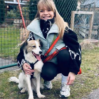 Hundetreffen-Hundekumpel für Gassirunde-Bild