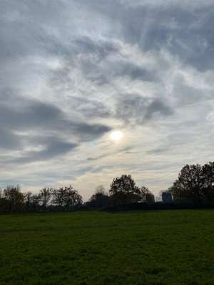 Hundeauslaufgebiet-Niedersedlitzer Flutgraben-Bild