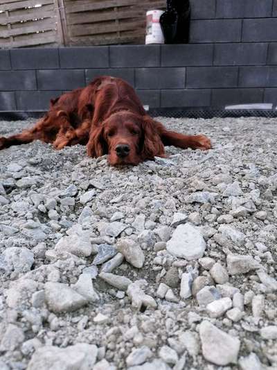 Fotochallenge Nr. 56 - geliebte Senioren-Beitrag-Bild