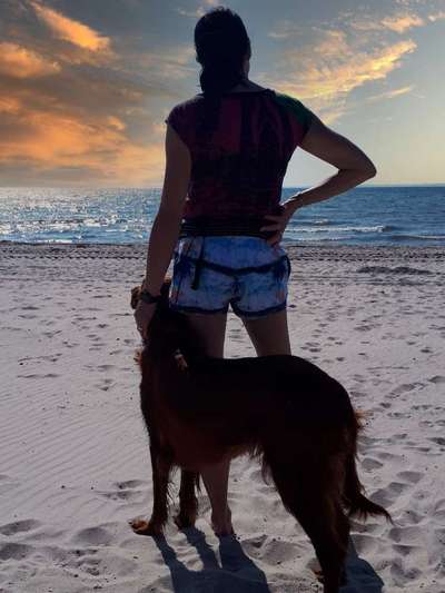 Dogorama Photo Challenge - Tierischer Urlaub-Beitrag-Bild