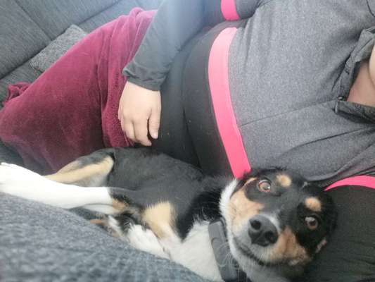 20. Handy -Foto-Callenge-Beitrag-Bild