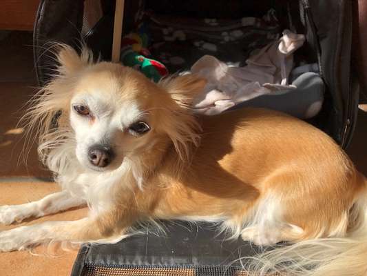 Moviestar-Pics!-Beitrag-Bild