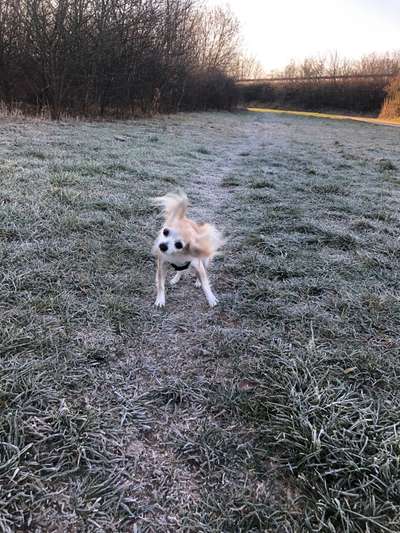 Un...scharf Bilder-Beitrag-Bild