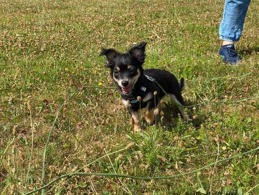 Handy-Foto-Challange Nr.9-Beitrag-Bild