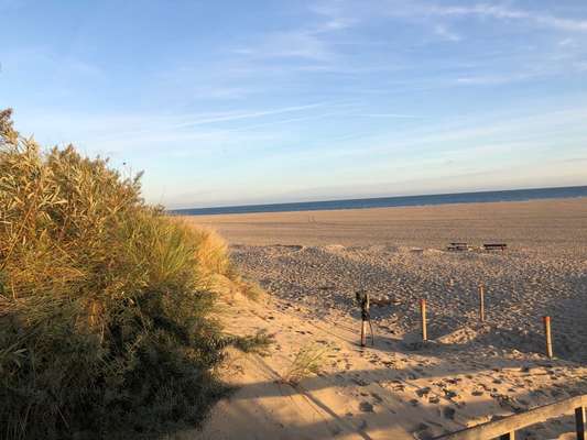 Die wunderschöne Welt mit Hund.-Beitrag-Bild